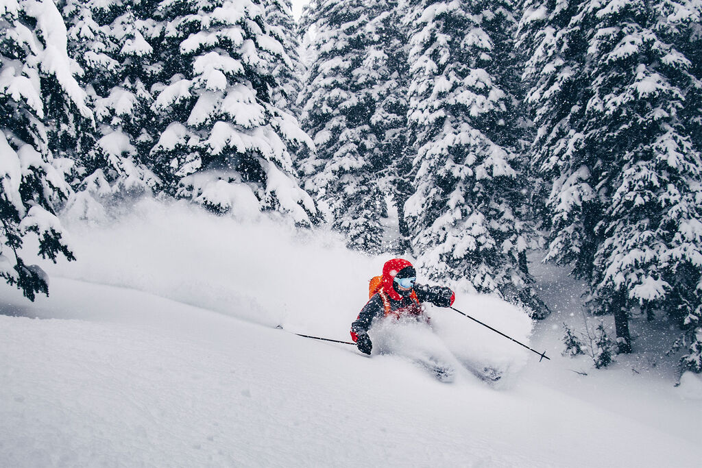 skier in deep powder and trees