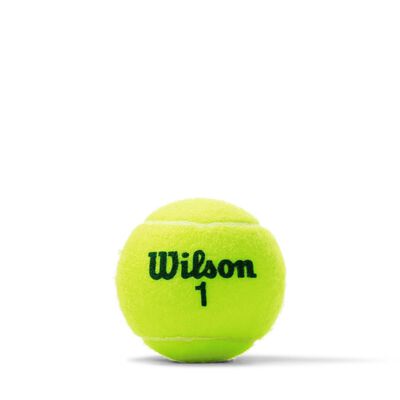 Wilson US Open Green Tournament Transition Tennis Balls 1 Can